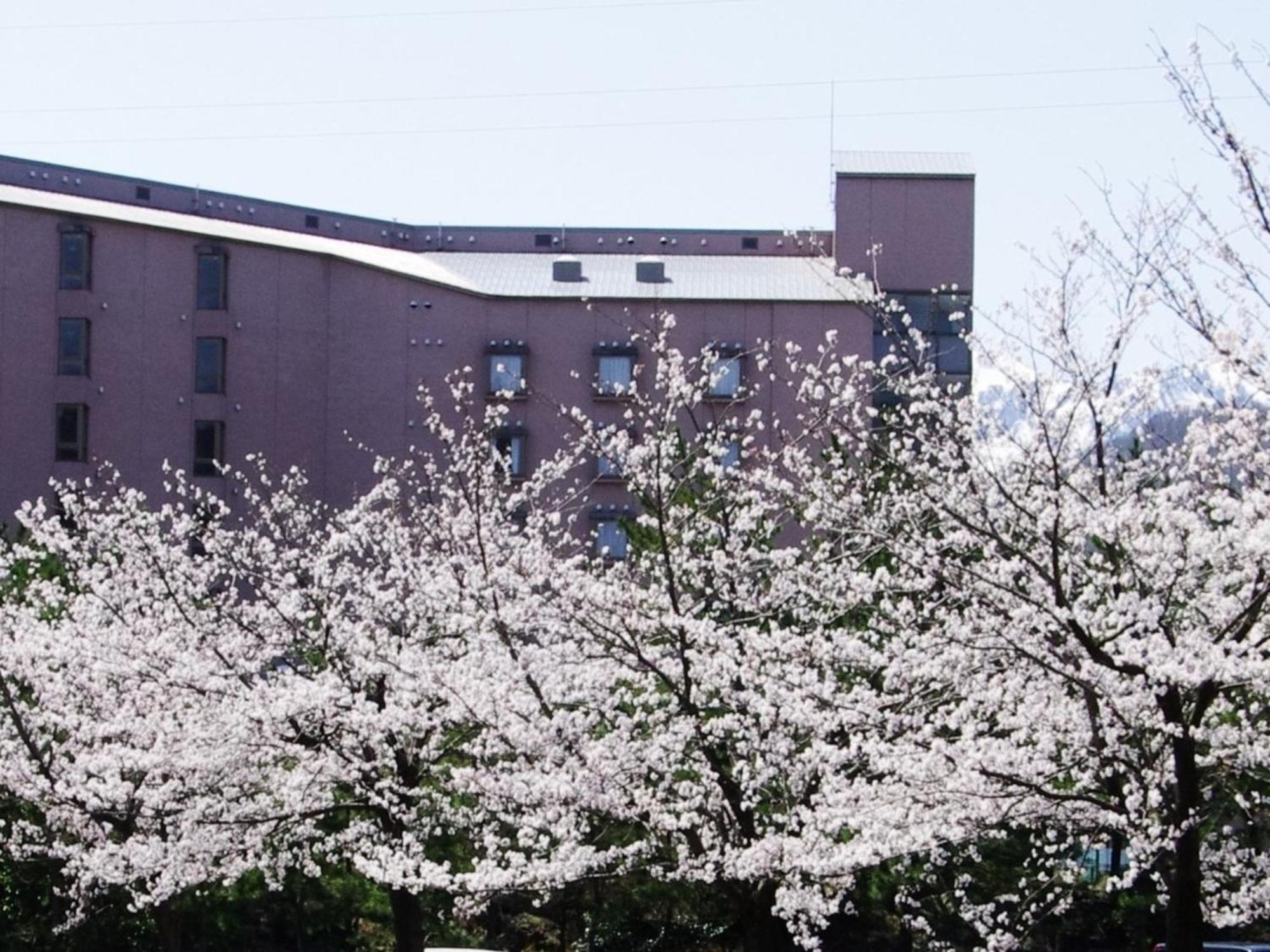 Hotel Kunitomi Annex - Vacation Stay 12072V Itoigawa Luaran gambar